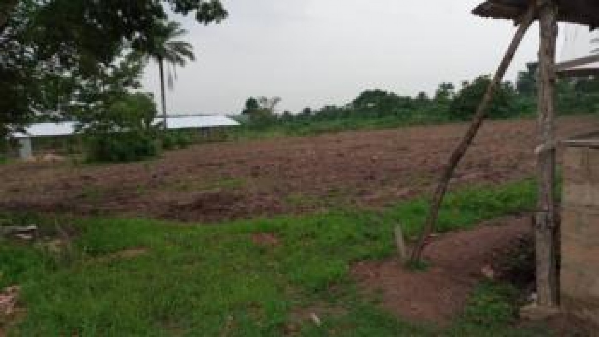 Piggery and Poultry Pen